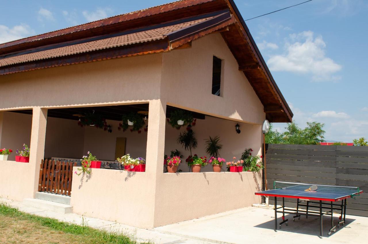Pensiunea Aly Bumbesti Pitic Esterno foto